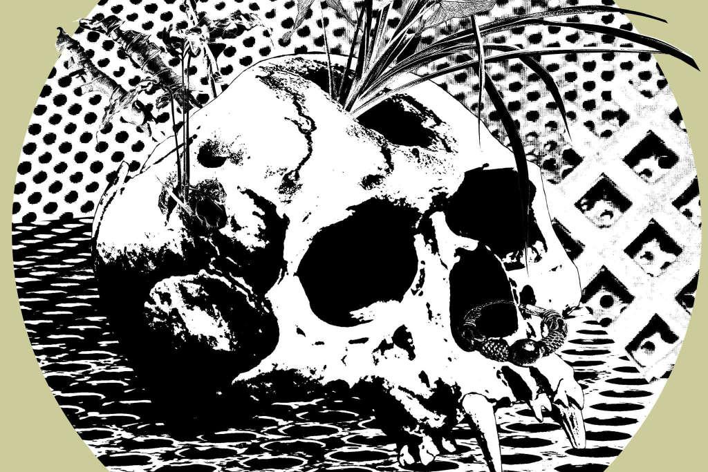 Izerbejdżan Punk Eko Fest 2026