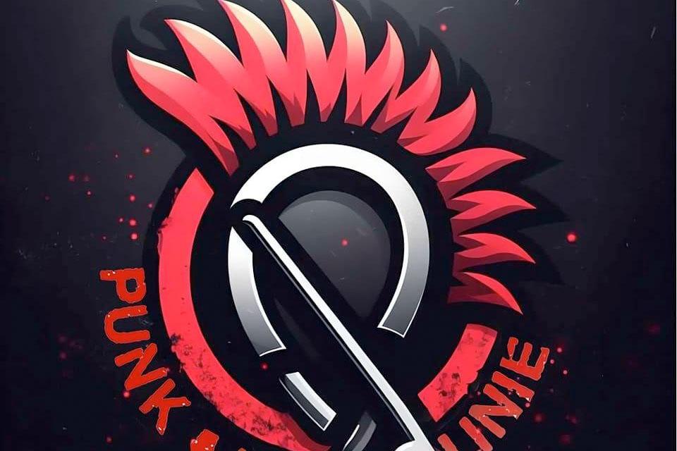 Punk w Dolinie logo