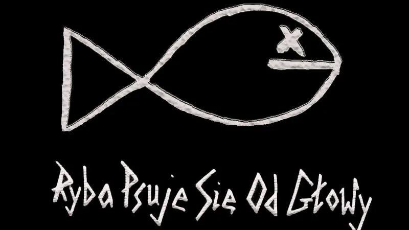 Ryba psuje się od głowy feat. Mada - nowy singiel Gorgonzolli