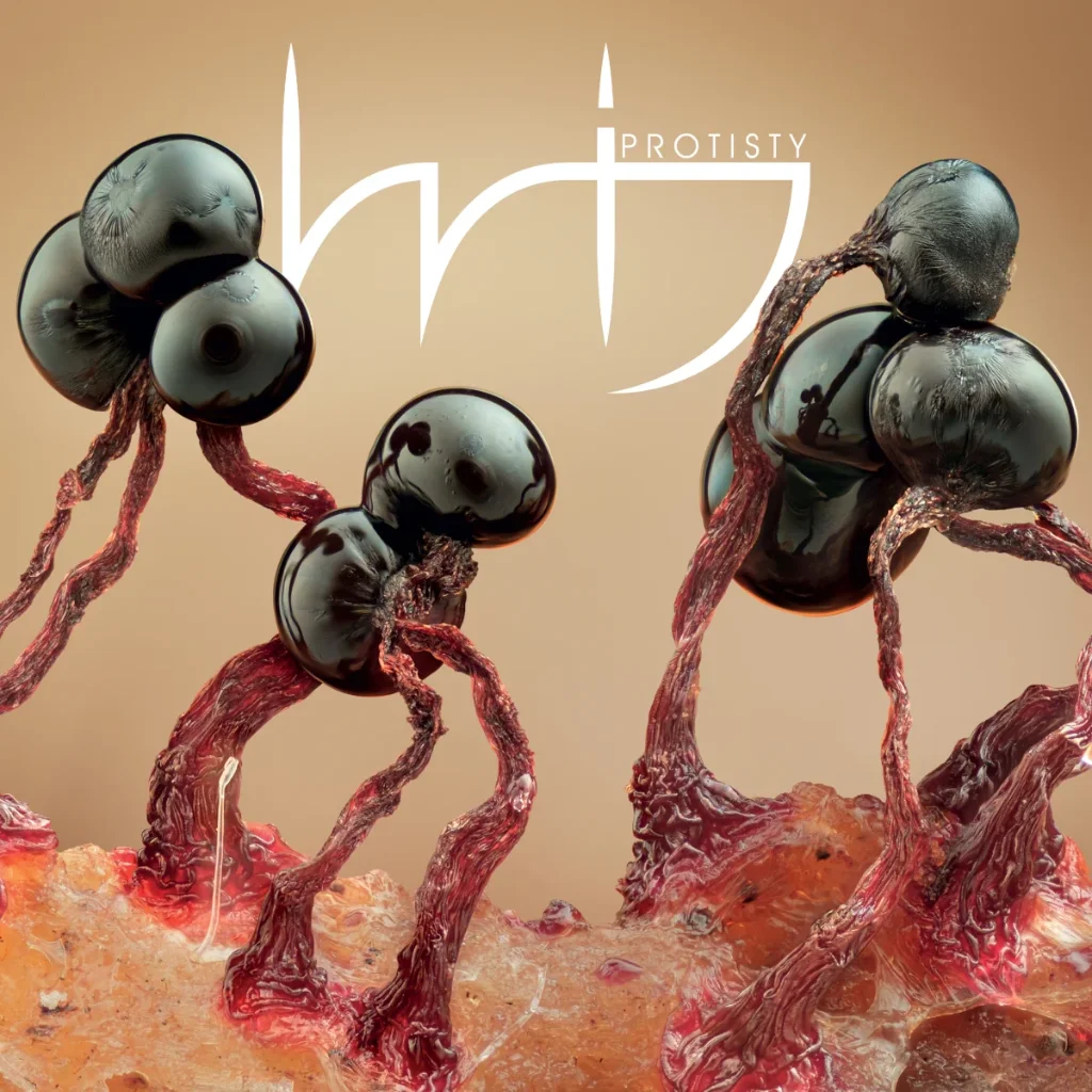 WIJ Protisty cover